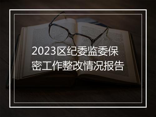 2023区纪委监委保密工作整改情况报告