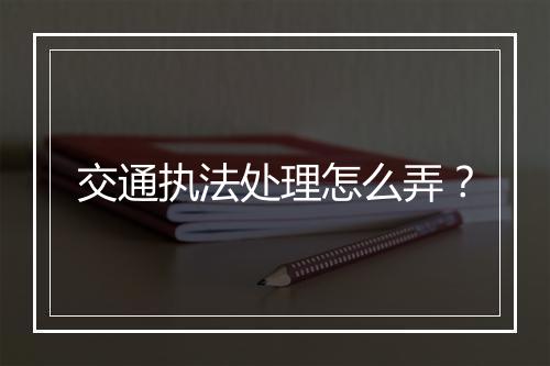 交通执法处理怎么弄？