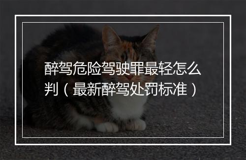 醉驾危险驾驶罪最轻怎么判（最新醉驾处罚标准）