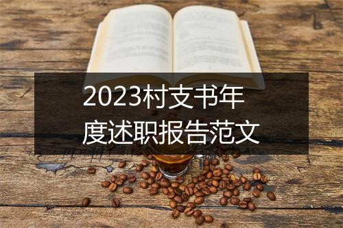 2023村支书年度述职报告范文