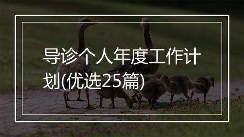 导诊个人年度工作计划(优选25篇)