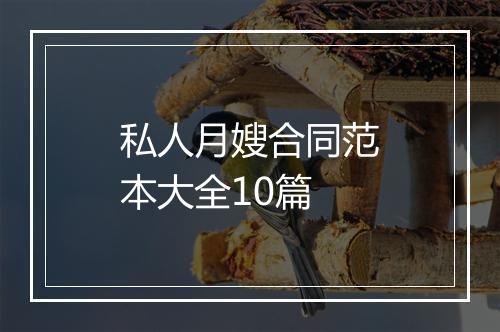 私人月嫂合同范本大全10篇