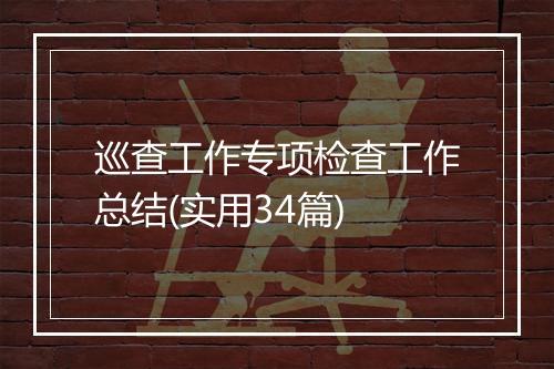 巡查工作专项检查工作总结(实用34篇)