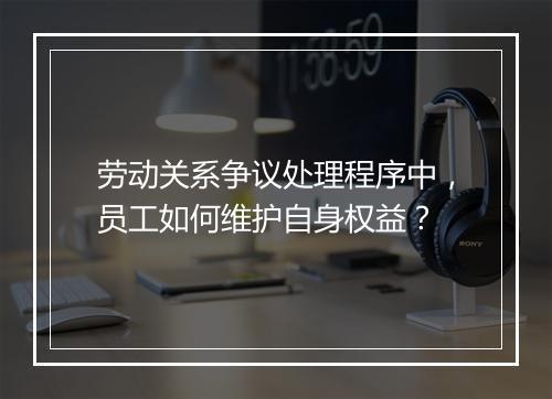劳动关系争议处理程序中，员工如何维护自身权益？