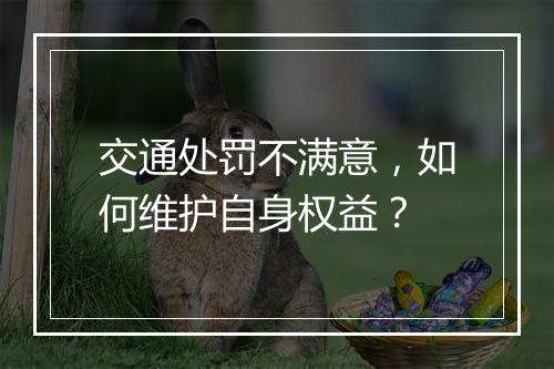 交通处罚不满意，如何维护自身权益？