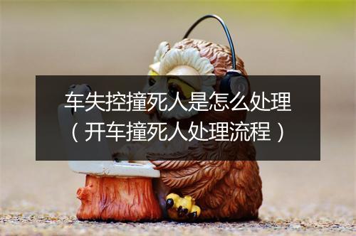 车失控撞死人是怎么处理（开车撞死人处理流程）