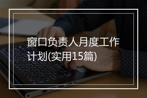 窗口负责人月度工作计划(实用15篇)