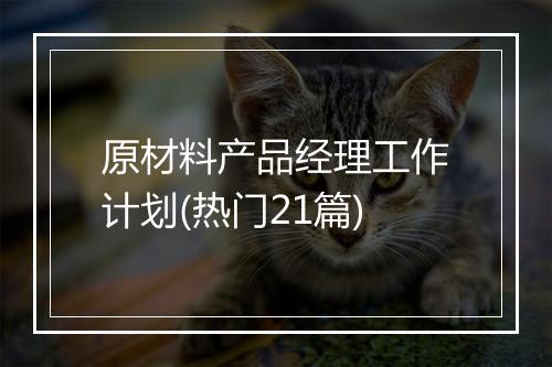 原材料产品经理工作计划(热门21篇)