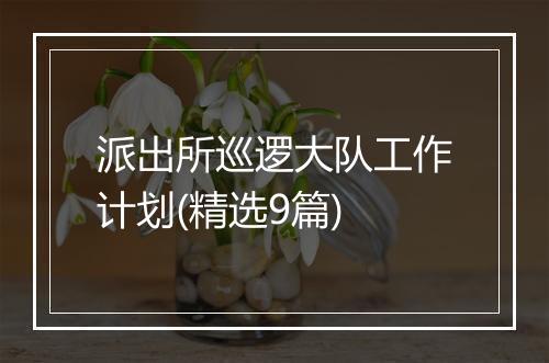 派出所巡逻大队工作计划(精选9篇)