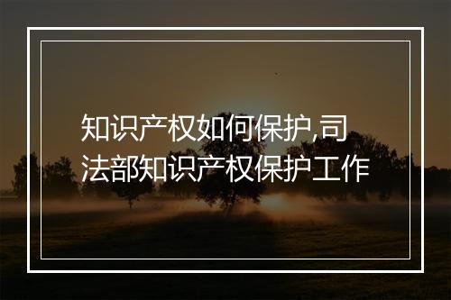 知识产权如何保护,司法部知识产权保护工作