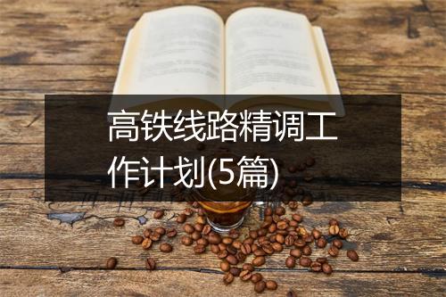 高铁线路精调工作计划(5篇)