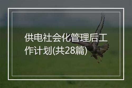 供电社会化管理后工作计划(共28篇)