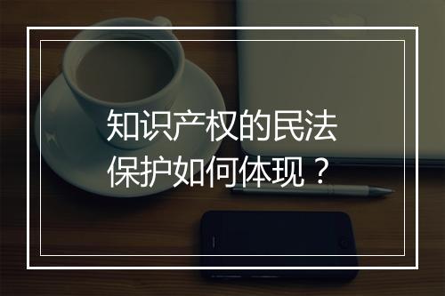知识产权的民法保护如何体现？