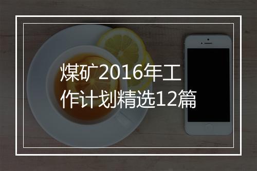 煤矿2016年工作计划精选12篇