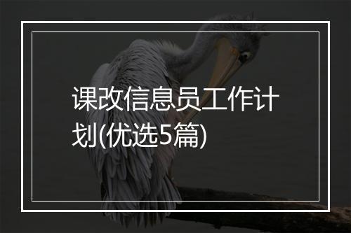 课改信息员工作计划(优选5篇)