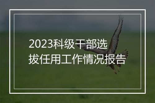2023科级干部选拔任用工作情况报告