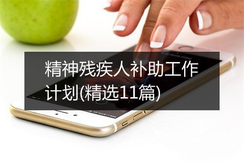 精神残疾人补助工作计划(精选11篇)