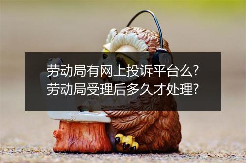 劳动局有网上投诉平台么?劳动局受理后多久才处理?