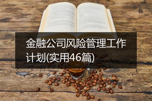 金融公司风险管理工作计划(实用46篇)
