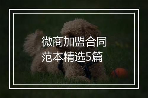 微商加盟合同范本精选5篇