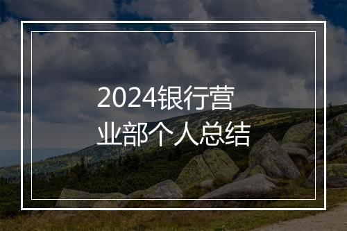 2024银行营业部个人总结