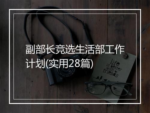 副部长竞选生活部工作计划(实用28篇)