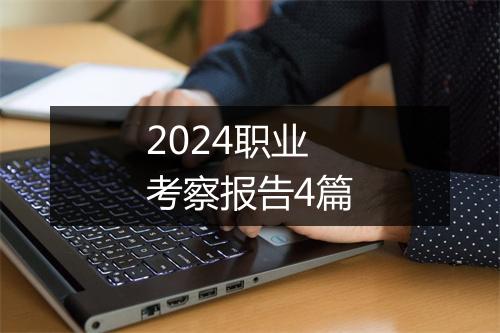 2024职业考察报告4篇