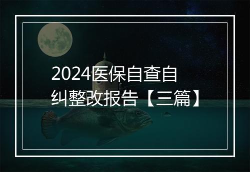 2024医保自查自纠整改报告【三篇】