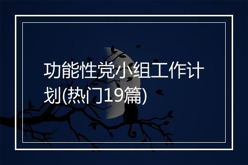 功能性党小组工作计划(热门19篇)