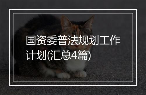 国资委普法规划工作计划(汇总4篇)