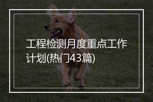 工程检测月度重点工作计划(热门43篇)
