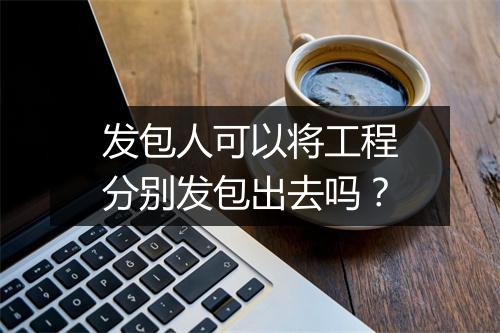 发包人可以将工程分别发包出去吗？