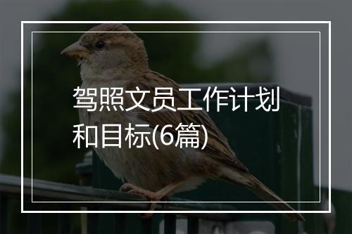 驾照文员工作计划和目标(6篇)