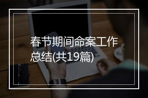 春节期间命案工作总结(共19篇)
