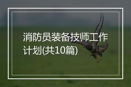 消防员装备技师工作计划(共10篇)