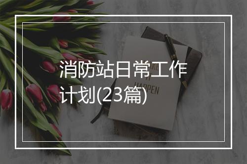 消防站日常工作计划(23篇)