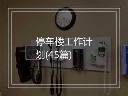 停车楼工作计划(45篇)