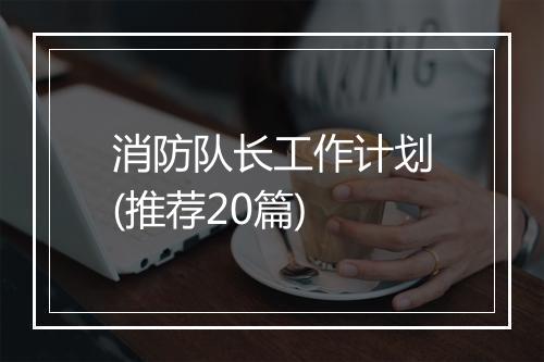 消防队长工作计划(推荐20篇)