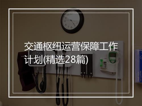 交通枢纽运营保障工作计划(精选28篇)