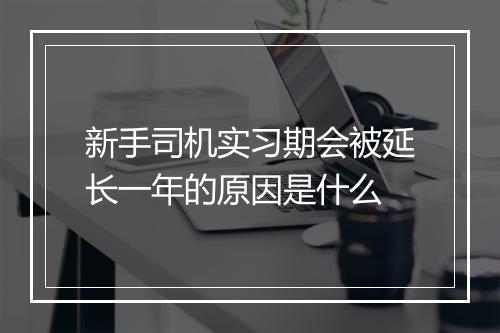 新手司机实习期会被延长一年的原因是什么