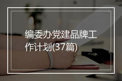 编委办党建品牌工作计划(37篇)