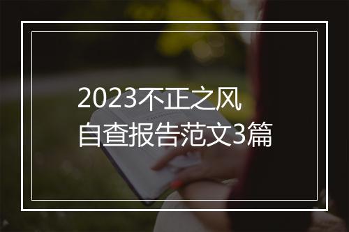 2023不正之风自查报告范文3篇