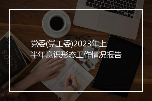 党委(党工委)2023年上半年意识形态工作情况报告