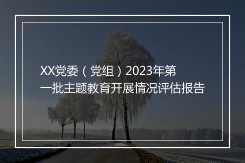 XX党委（党组）2023年第一批主题教育开展情况评估报告