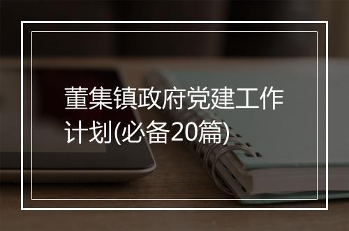 董集镇政府党建工作计划(必备20篇)