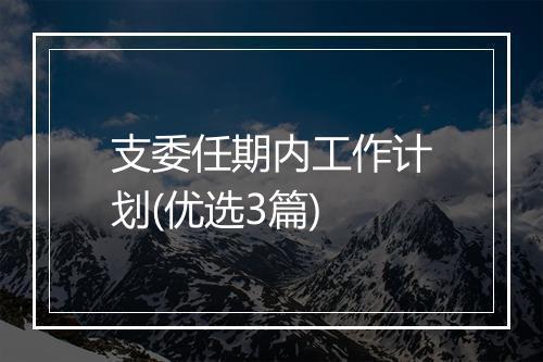 支委任期内工作计划(优选3篇)