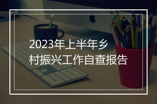 2023年上半年乡村振兴工作自查报告