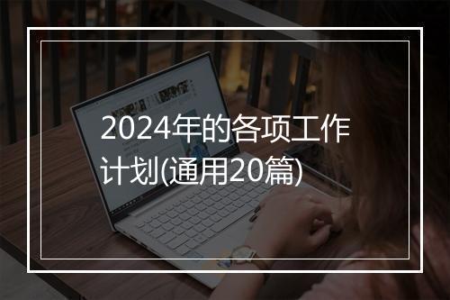 2024年的各项工作计划(通用20篇)