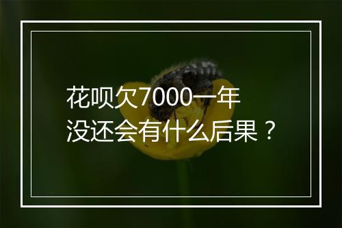 花呗欠7000一年没还会有什么后果？