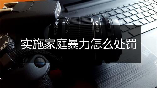 实施家庭暴力怎么处罚